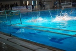 flipper_vs_crotone_72.jpg