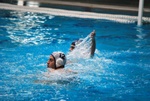 flipper_vs_cosenza_35.jpg