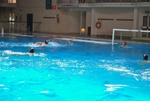 flipper_vs_matera_04.jpg