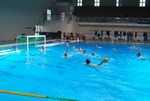 flipper_vs_matera_06.jpg