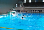 flipper_vs_matera_07.jpg