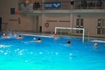 flipper_vs_matera_08.jpg