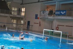 flipper_vs_matera_10.jpg