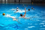 flipper_vs_matera_11.jpg