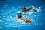 flipper_vs_matera_12.jpg