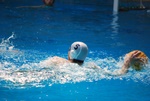 flipper_vs_matera_13.jpg