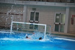 flipper_vs_matera_14.jpg