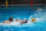 flipper_vs_matera_15.jpg