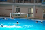flipper_vs_matera_16.jpg