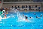 flipper_vs_matera_18.jpg