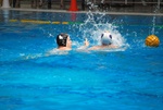 flipper_vs_matera_24.jpg