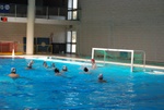 flipper_vs_matera_26.jpg