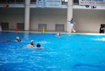 flipper_vs_matera_28.jpg