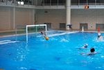 flipper_vs_matera_30.jpg