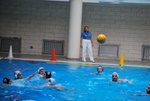 flipper_vs_matera_31.jpg