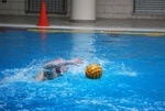 flipper_vs_matera_33.jpg