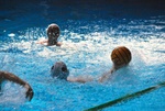 flipper_vs_matera_35.jpg