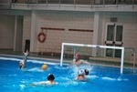 flipper_vs_matera_39.jpg