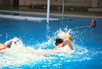 flipper_vs_matera_40.jpg