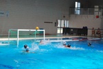 flipper_vs_matera_43.jpg