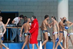 flipper_vs_tritone_10.jpg