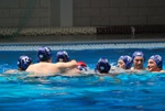 flipper_vs_tritone_14.jpg