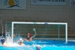 flipper_vs_tritone_16.jpg