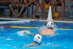 flipper_vs_tritone_18.jpg
