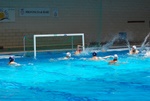 flipper_vs_tritone_19.jpg