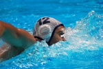 flipper_vs_tritone_20.jpg