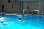 flipper_vs_tritone_21.jpg