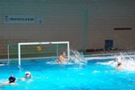 flipper_vs_tritone_23.jpg