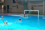 flipper_vs_tritone_24.jpg