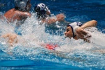 flipper_vs_tritone_25.jpg