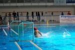 flipper_vs_tritone_26.jpg