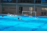 flipper_vs_tritone_27.jpg