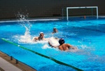 flipper_vs_tritone_29.jpg