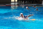 flipper_vs_tritone_30.jpg