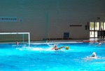flipper_vs_tritone_31.jpg