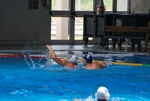 flipper_vs_tritone_32.jpg