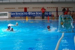 flipper_vs_tritone_33.jpg