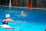 flipper_vs_tritone_35.jpg
