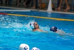 flipper_vs_tritone_36.jpg