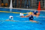 flipper_vs_tritone_37.jpg