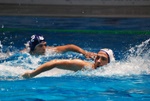flipper_vs_tritone_39.jpg