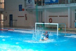 flipper_vs_tritone_40.jpg