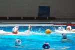 flipper_vs_tritone_41.jpg