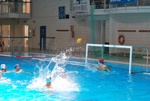flipper_vs_tritone_42.jpg