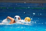 flipper_vs_tritone_45.jpg