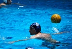 flipper_vs_tritone_47.jpg